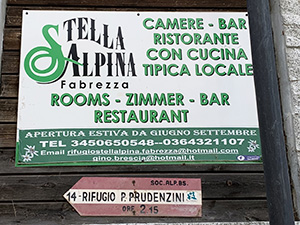 Stella Alpina