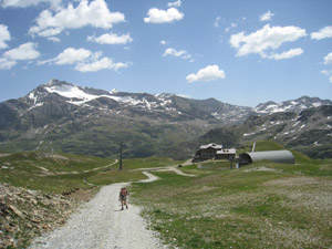 Dal rifugio verso la Costa Sobretta