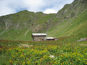 Baita Venano di Sopra