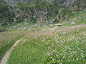 Alpe Venano di Sopra