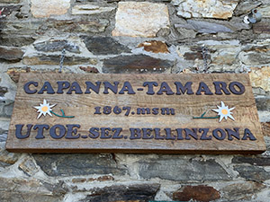 Insegna