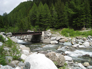 Ponte