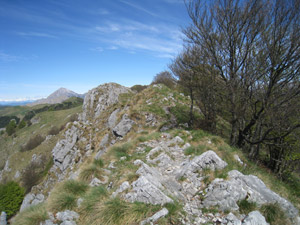 Sulla cresta della Zucco di Pralongone