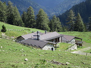 La Malga Laione