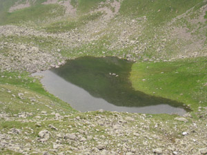 Il Lago di Bacco