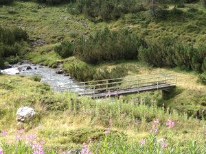 Un ponticello sul torrente