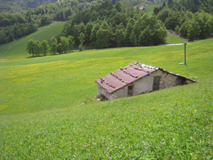 Prati nei pressi del rifugio