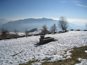 Fontana e Alben