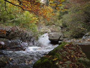 Il Torrente della Val di Vai