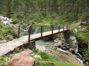 Ponticello sul Torrente Valle del Drogo