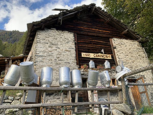 Agriturismo Dai Camuscin