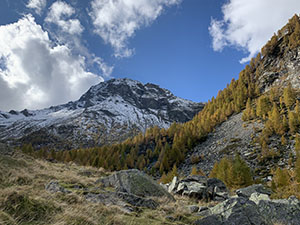 Il Pizzaccio visto dallˊAlpe Lendine