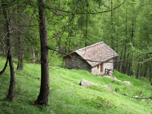 Una baita nel bosco