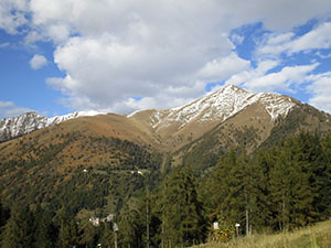 Panorama da Malga Travagnolo