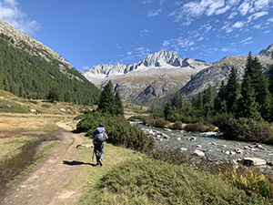 Lungo il cammino