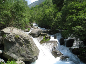 Il Torrente Antoniasco poco prima del rifugio