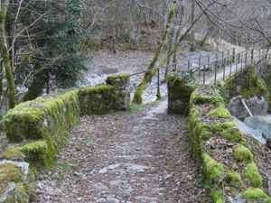 Il ponticello sul Torrente Valsecca