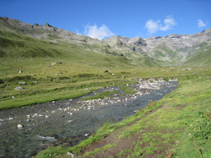 Il torrente della Val Loga