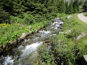 Il Torrente Frigidolfo a lato della stradina