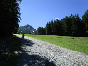 Poco prima del termine della Cabinovia Palabione