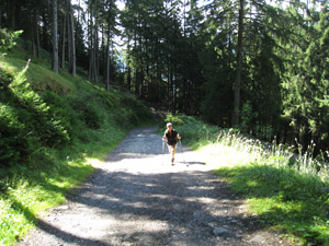 La stradina nel bosco