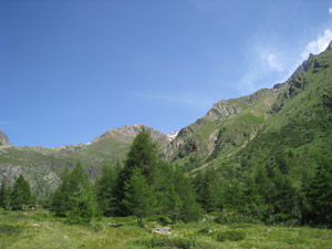Panorama salendo