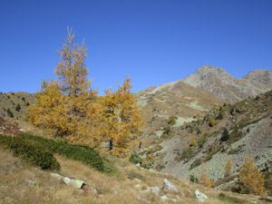 Panorama autunnale