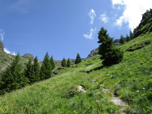Usciti dal bosco cominciamo a vedere il panorama