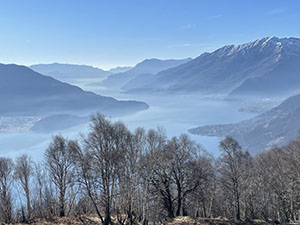 Panorama sul Lario (m. 1040)