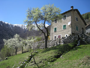 Una delle case di Vincino