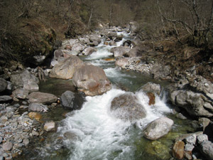 Il Liro visto dal ponticello