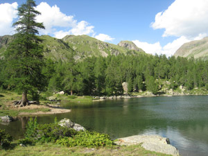 Il Lago Viola (Svizzera)