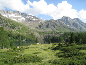 Dintorni del Lago Viola (Svizzera)