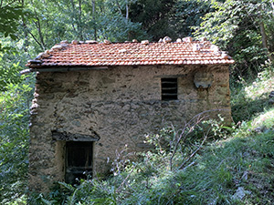 Vecchia baita nel bosco