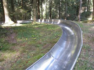 La pista di bob nel bosco