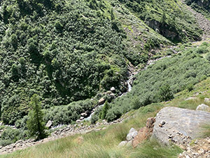 Dalla crestina, vista in basso a sinistra verso il Torrente Pedriola