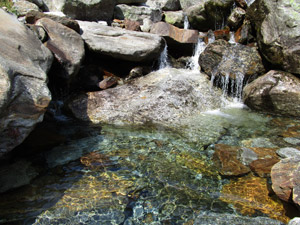 Pozze e saltelli del Torrente Liro