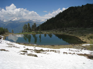Il Laghetto delle Zocche