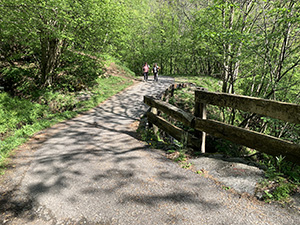Sulla strada
