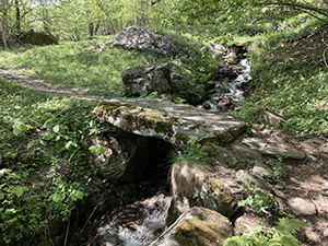 Passerella sopra un ruscello