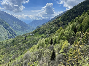 Uno sguardo sulla vallata