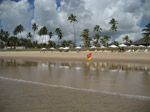 S118 (175214 byte) - Palmas en la playa a norte de Porto de Galinhas