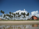 S119 (165632 byte) - Palmas en la playa a norte de Porto de Galinhas