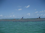 S121 (124043 byte) - Verso le piscine naturali di Porto de Galinhas