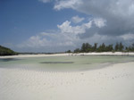 S142 (115641 byte) - Spiagga a Watamu in bassa marea