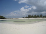 S142 (115641 byte) - Watamu beach - low tide