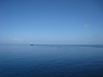 S166 (178624 byte) - Un dhoni en el azul del mar y del cielo