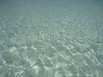 S176 (255926 byte) - Limpid and transparent water