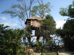 S223 (382549 byte) - Capanna su un albero