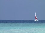 S26 (222461 byte) - Fun Island - Vela all'orizzonte